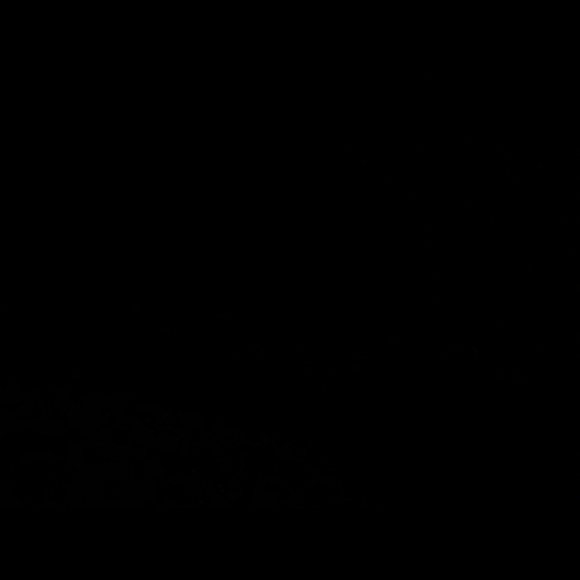 Meet your Posher, Daliana - Picture 1 of 1